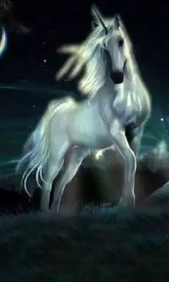 Play Unicorn Fantasy Wallpapers