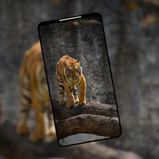 Play Unique 4K Animal Wallpapers APK