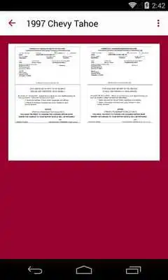 Play United Insurance Play United Insurance