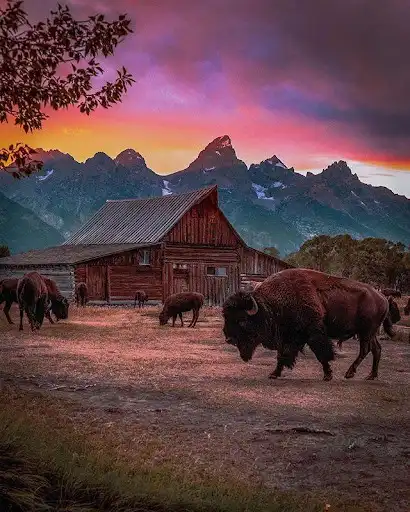 Play United States Wallpaper HD  and enjoy United States Wallpaper HD with UptoPlay