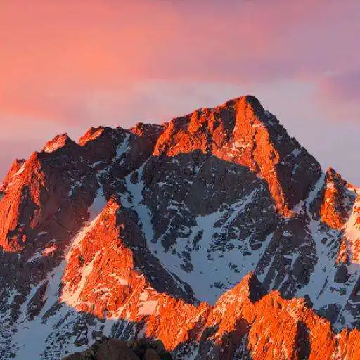 Free play online unitytestgame_cgu  APK