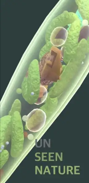 Play Unseen Nature  and enjoy Unseen Nature with UptoPlay