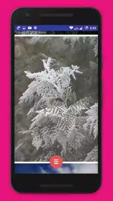 Play Unsplash Everyday Latest Wallpapers Collection