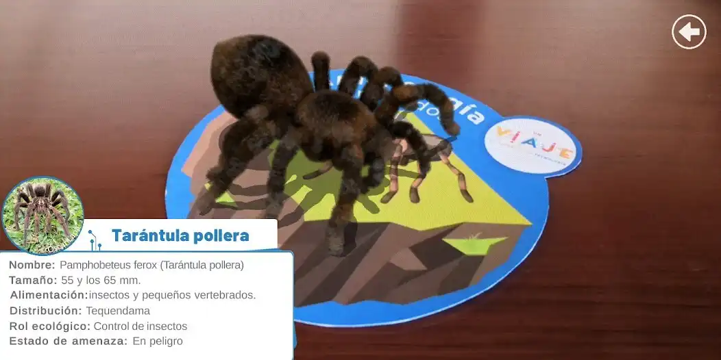 Play Un viaje con la ciencia as an online game online Un viaje con la ciencia with UptoPlay Play Un viaje con la ciencia as an online game Un viaje con la ciencia with UptoPlay