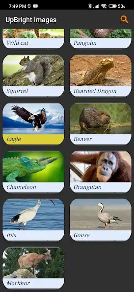 Play UpBright Images as an online game online UpBright Images with UptoPlay Play UpBright Images as an online game UpBright Images with UptoPlay