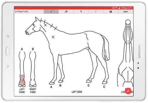 Play UPEquID Foal Identification  and enjoy UPEquID Foal Identification with UptoPlay