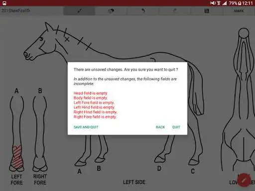 Play UPEquID Foal Identification as an online game UPEquID Foal Identification with UptoPlay