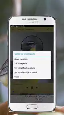 Play Uptown Funk Lyrics free