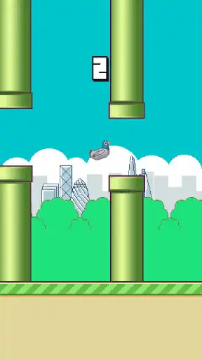 Play Urban Bird as an online game Urban Bird with UptoPlay