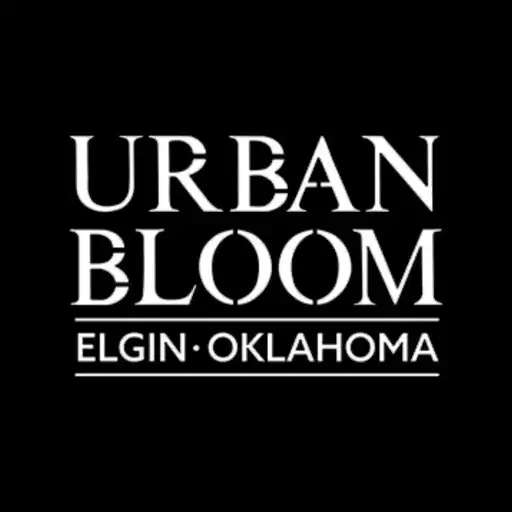 Play Urban Bloom APK Play Urban Bloom APK