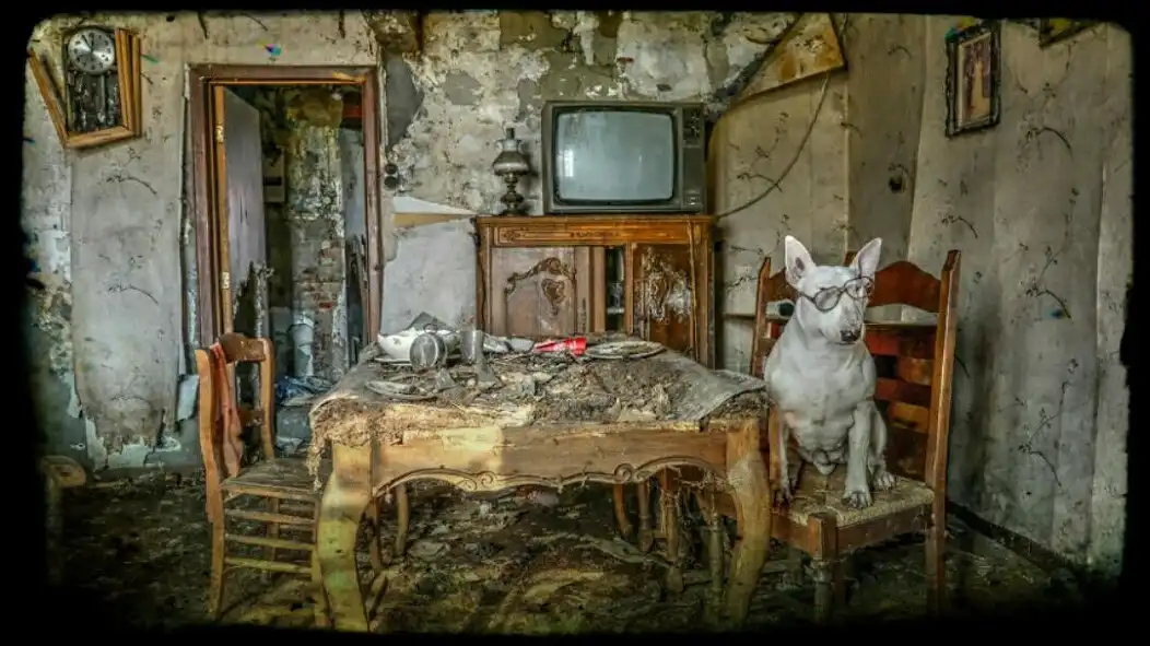 Play URBEX or Abandoned Places  and enjoy URBEX or Abandoned Places with UptoPlay