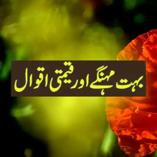 Play Urdu Best Aqwal e Zareen APK