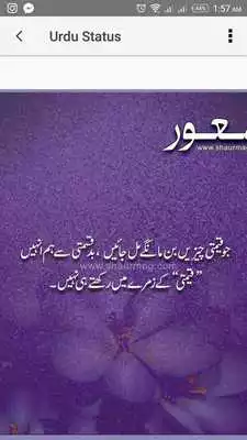 Play Urdu Photo Status