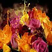 Free play online Urdu Poetry Ghazals Audio APK Free play online Urdu Poetry Ghazals Audio APK