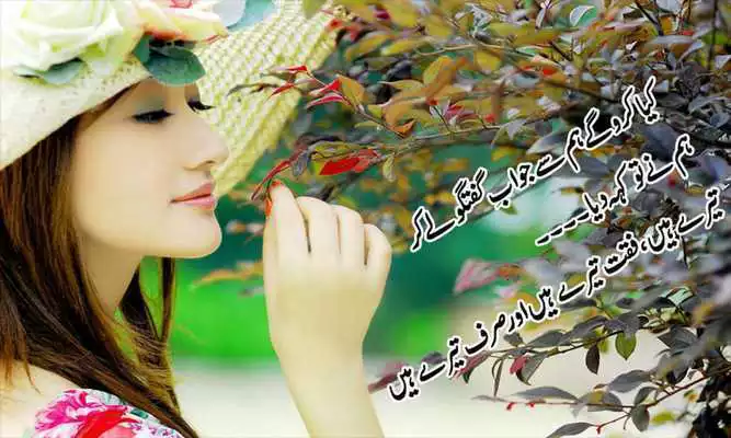 Play Urdu Poetry on Photo(Editor)