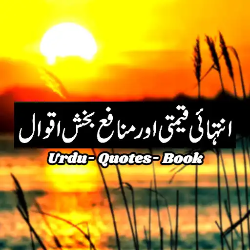 Play Urdu Quotes Book APK