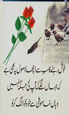 Play Urdu Text Writing on Images