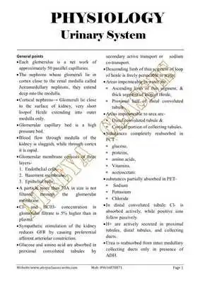 Play URINARY PHYSIOLOGY NOTES