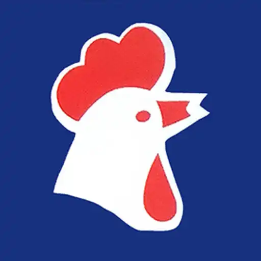 Play USA Chicken, Haverhill App APK