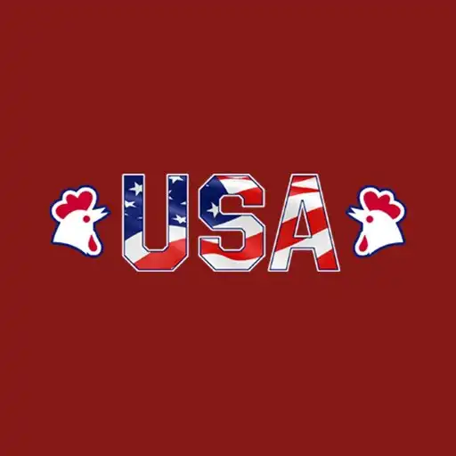 Play USA Fried Chicken and Pizza APK Play USA Fried Chicken and Pizza APK