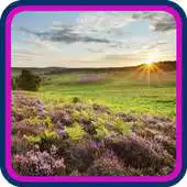 Free play online USA Indiana HD Wallpaper APK Free play online USA Indiana HD Wallpaper APK