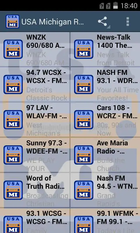 Play USA Michigan Radio