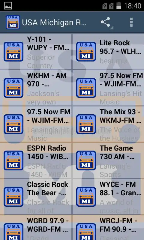 Play USA Michigan Radio