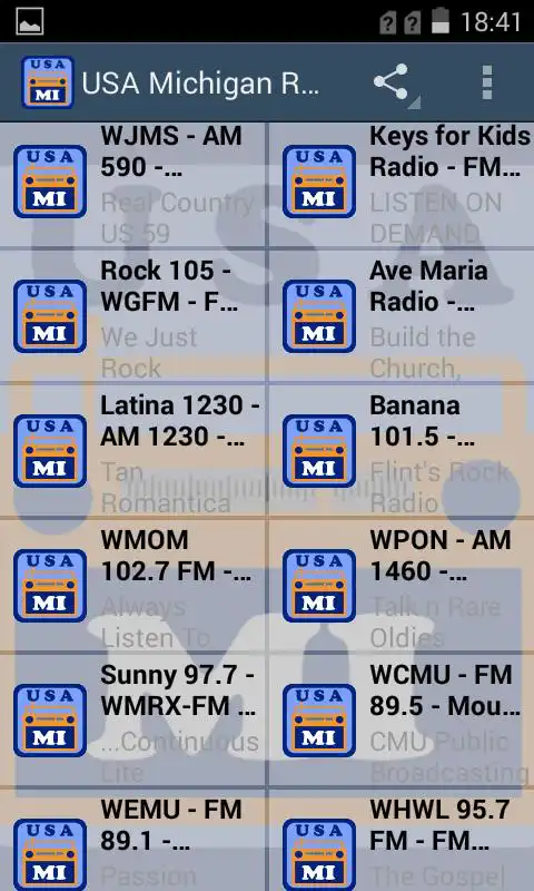Play USA Michigan Radio
