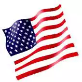 Free play online US Coins on eBay APK