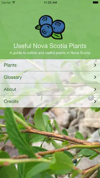 Play Useful Nova Scotia Plants  and enjoy Useful Nova Scotia Plants with UptoPlay