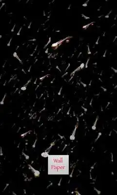 Play Ustad Ali Akbar Khan - Sarod