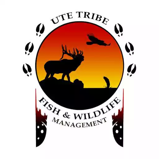 Play Ute Permits APK Play Ute Permits APK