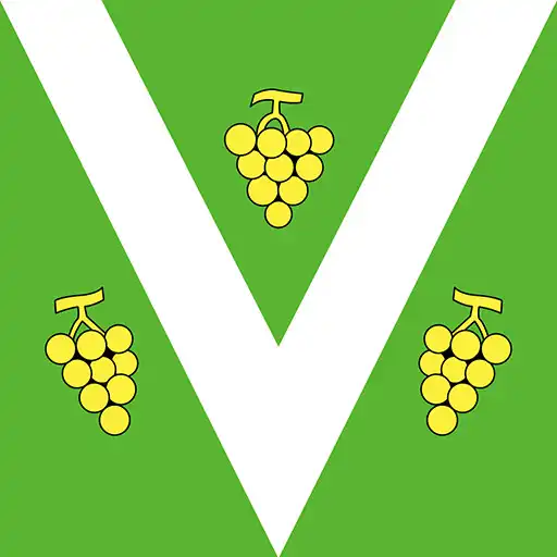 Play Vacallo APK