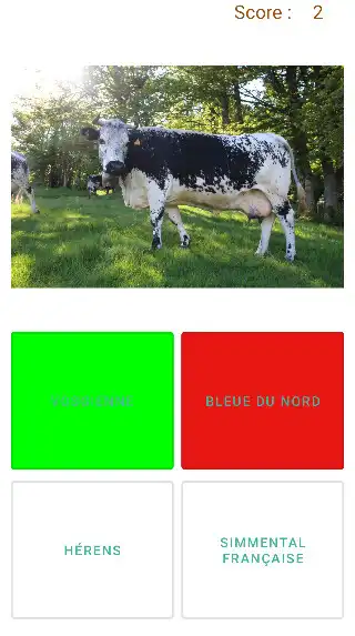 Play Vaches de France as an online game Vaches de France with UptoPlay