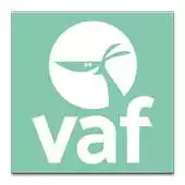 Free play online VAF 2019 APK