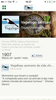 Play Vagafogo