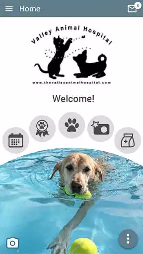 Play V.A.H. Vet  and enjoy V.A.H. Vet with UptoPlay