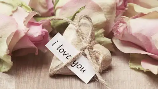 Play Valentine Day Wallpapers