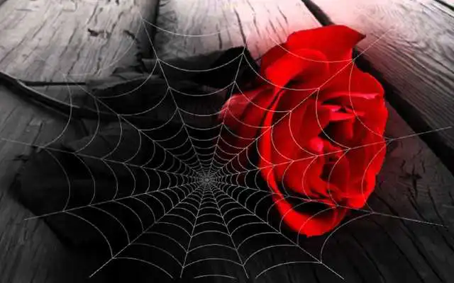 Play Valentine Gothic livewallpaper Play Valentine Gothic livewallpaper