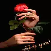 Free play online Valentine Red Rose LWP APK