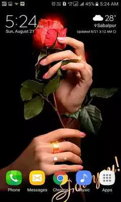 Play Valentine Red Rose LWP Play Valentine Red Rose LWP