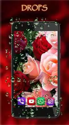 Play Valentine Roses Play Valentine Roses