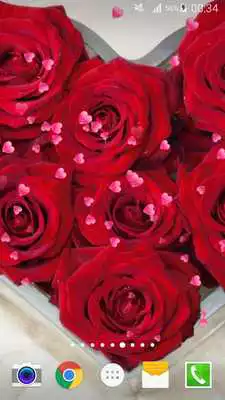 Play Valentines Day Live Wallpaper