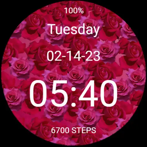 Play Valentines Day Roses Flowers APK Play Valentines Day Roses Flowers APK