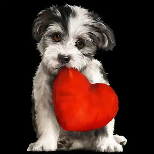 Play Valentines Day Wallpaper HD ? APK