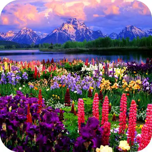 Play Valley of Flowers Live Wallpaper APK Play Valley of Flowers Live Wallpaper APK