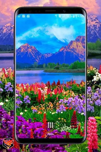 Play Valley of Flowers Live Wallpaper  and enjoy Valley of Flowers Live Wallpaper with UptoPlay