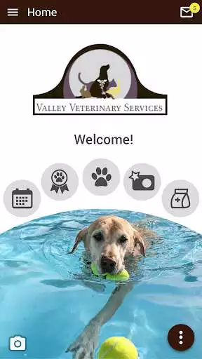 Play Valley Veterinary Services and enjoy Valley Veterinary Services with UptoPlay Play Valley Veterinary Services and enjoy Valley Veterinary Services with UptoPlay