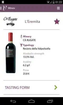 Play Valpolicella Wines
