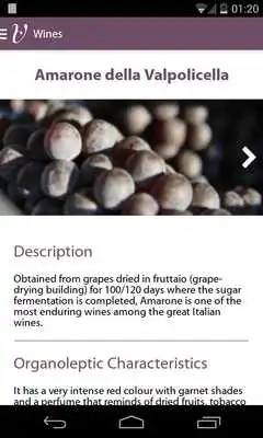 Play Valpolicella Wines